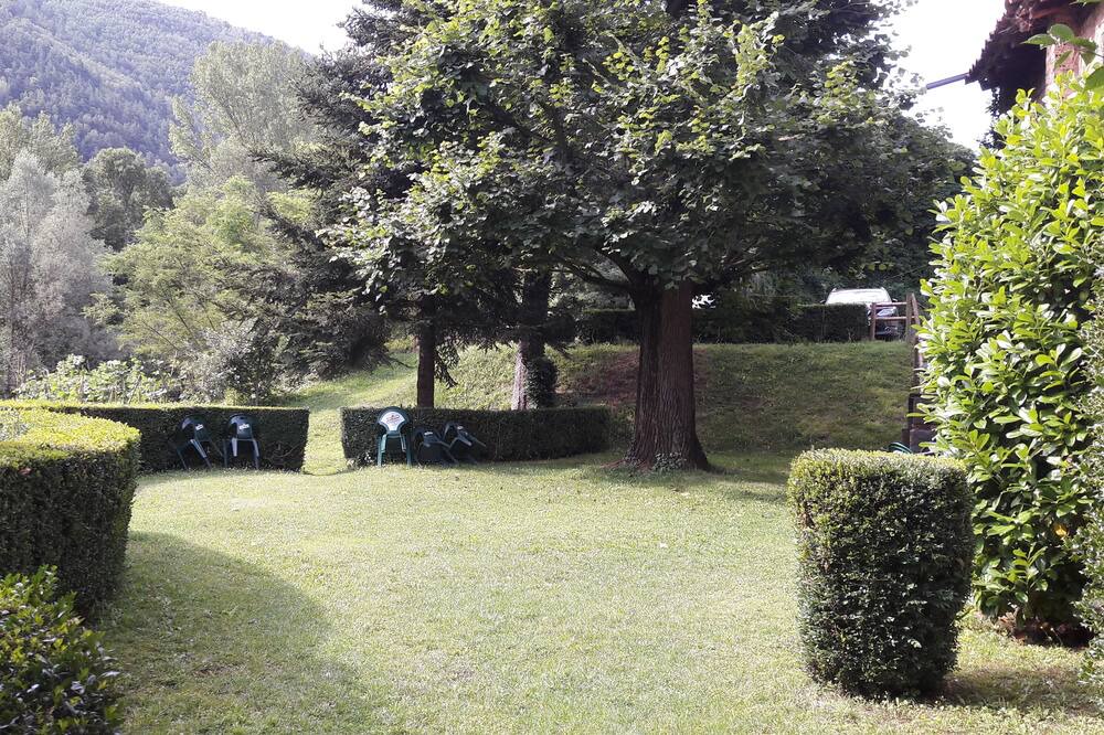 Photo of Outdoor in Ribes De Freser