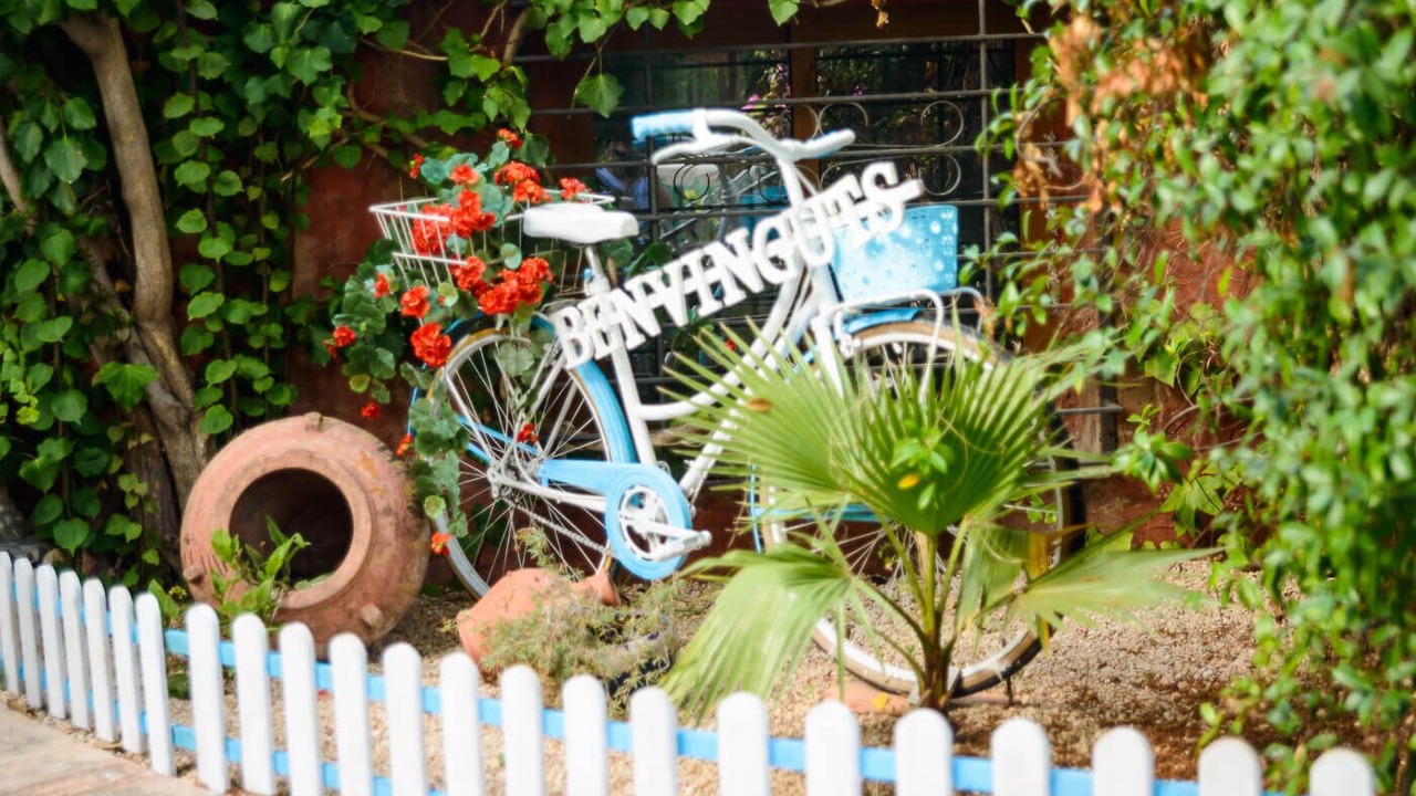 Photo of Outdoor in Camarles