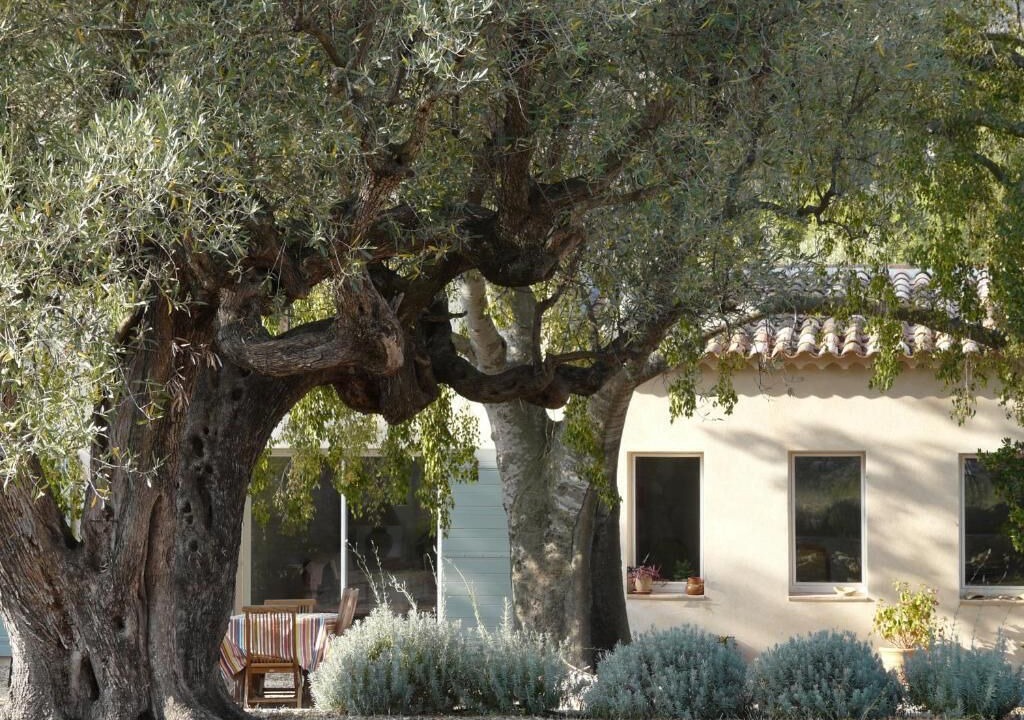 Photo of Outdoor in Bandol