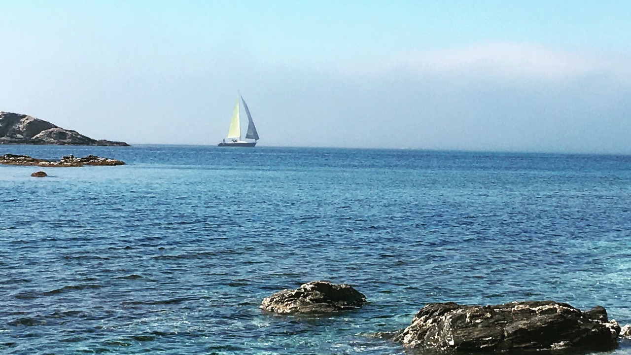 Photo of Others in Bandol