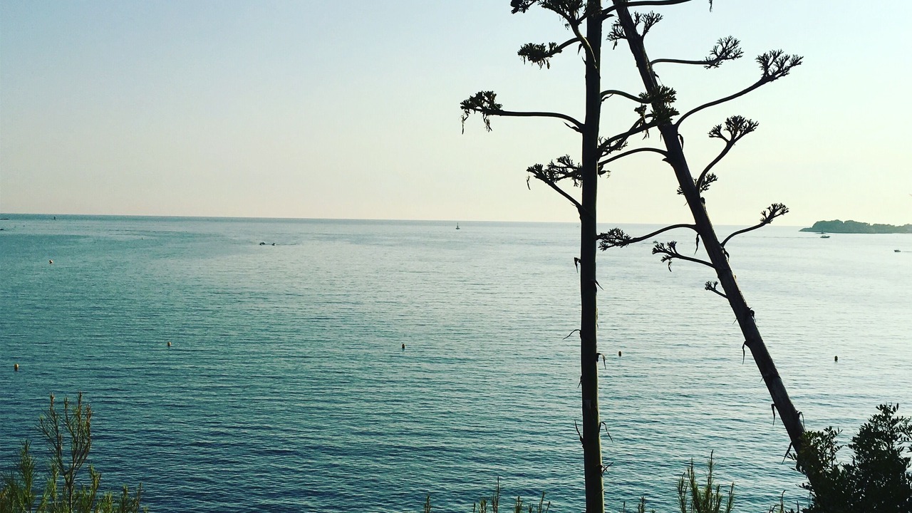 Photo of Others in Bandol