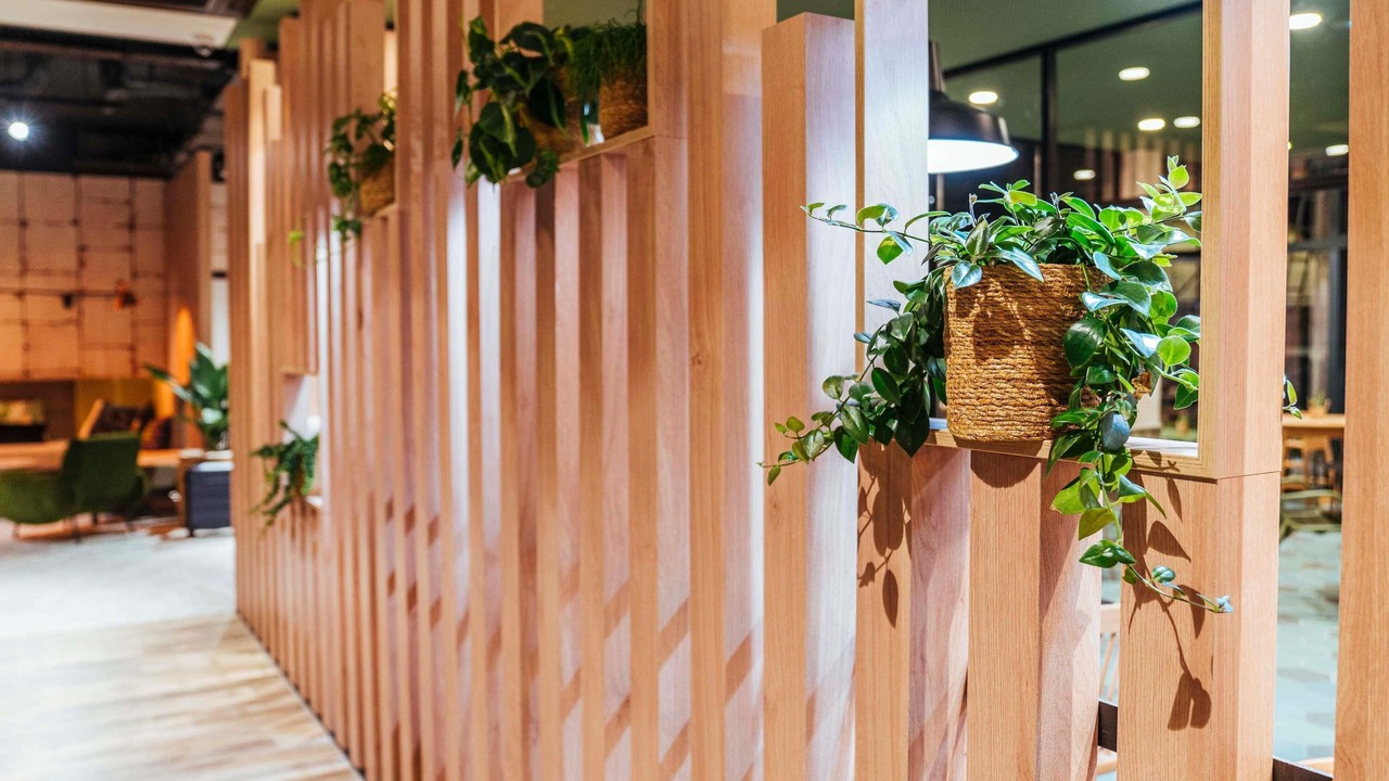 Photo of Outdoor in Quartier Saint-Clement - Jardin des Plantes