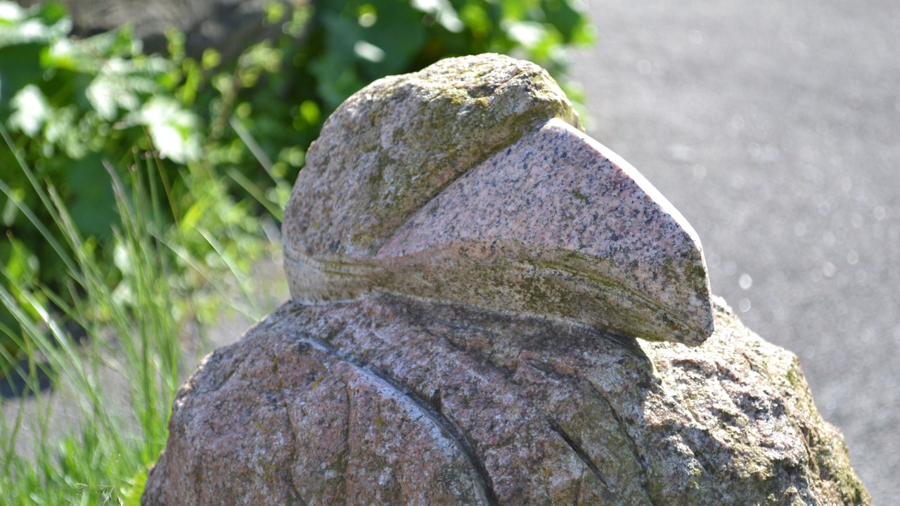Photo of Outdoor in Bønnerup Strand