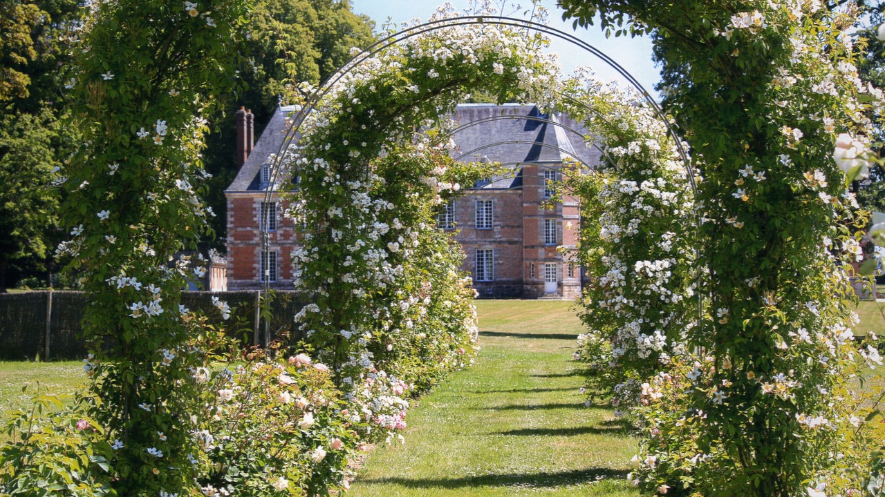 Photo of Outdoor in Paluel