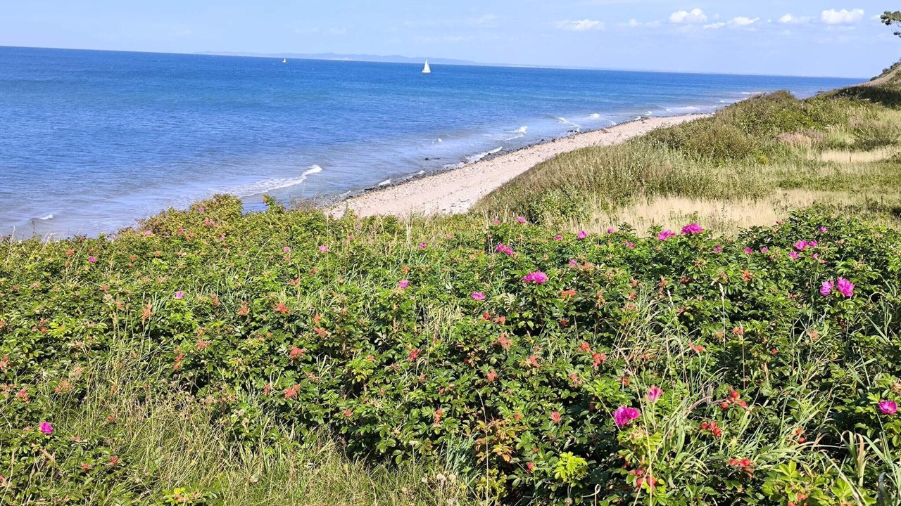 Photo of Others in Smidstrup Strand