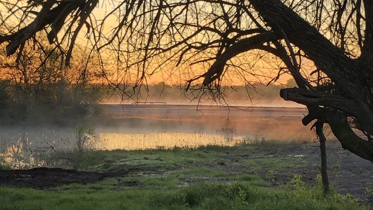 Photo of Outdoor in Honey Grove