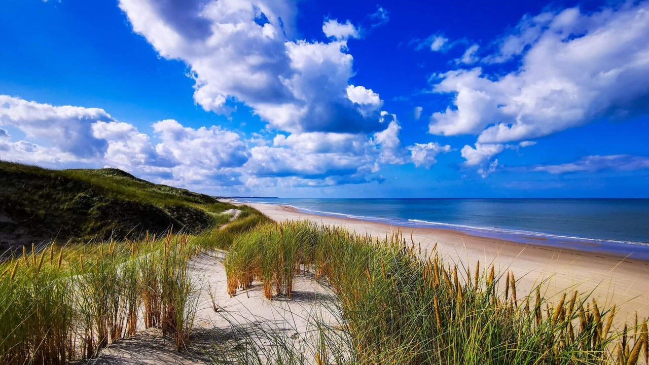 Photo of Others in Hirtshals