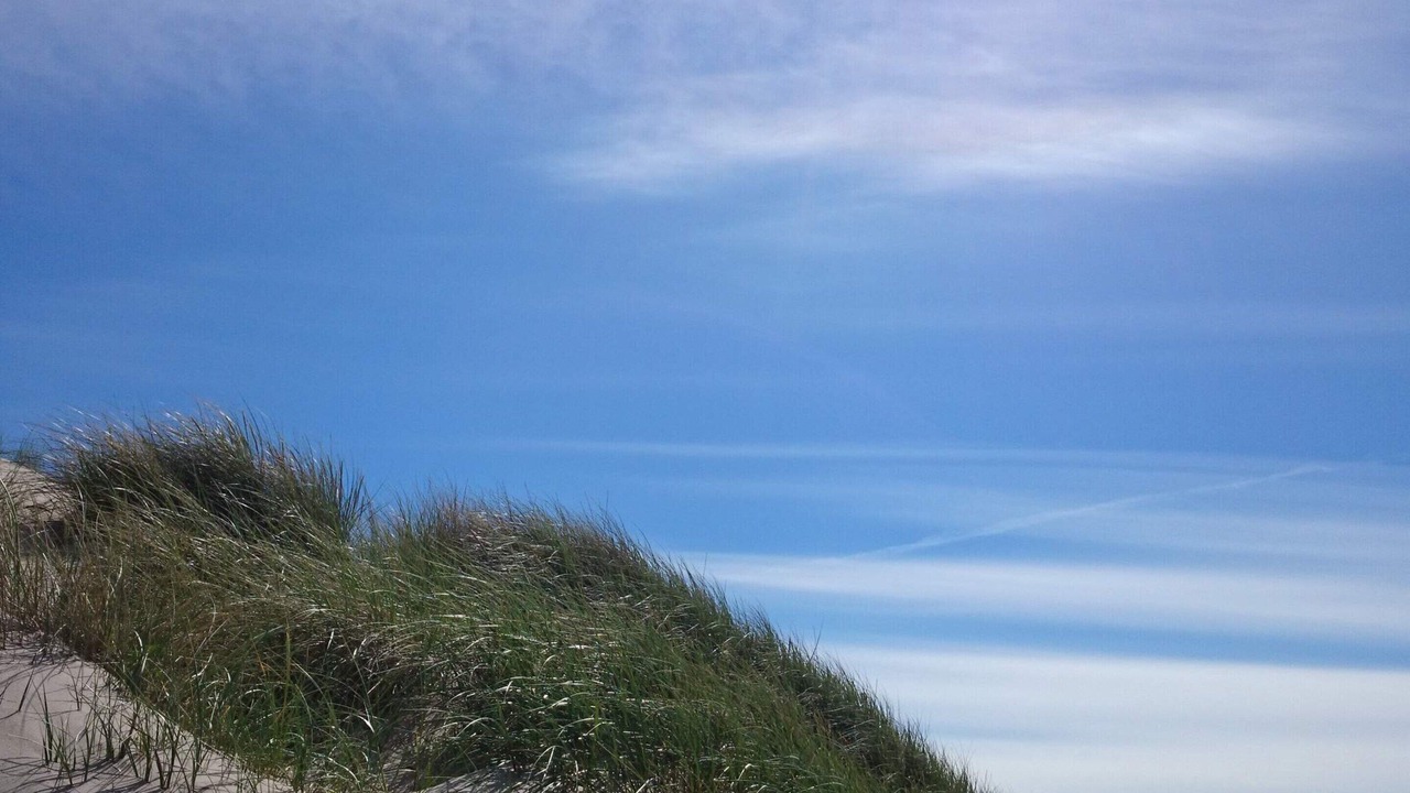 Photo of Others in Hirtshals