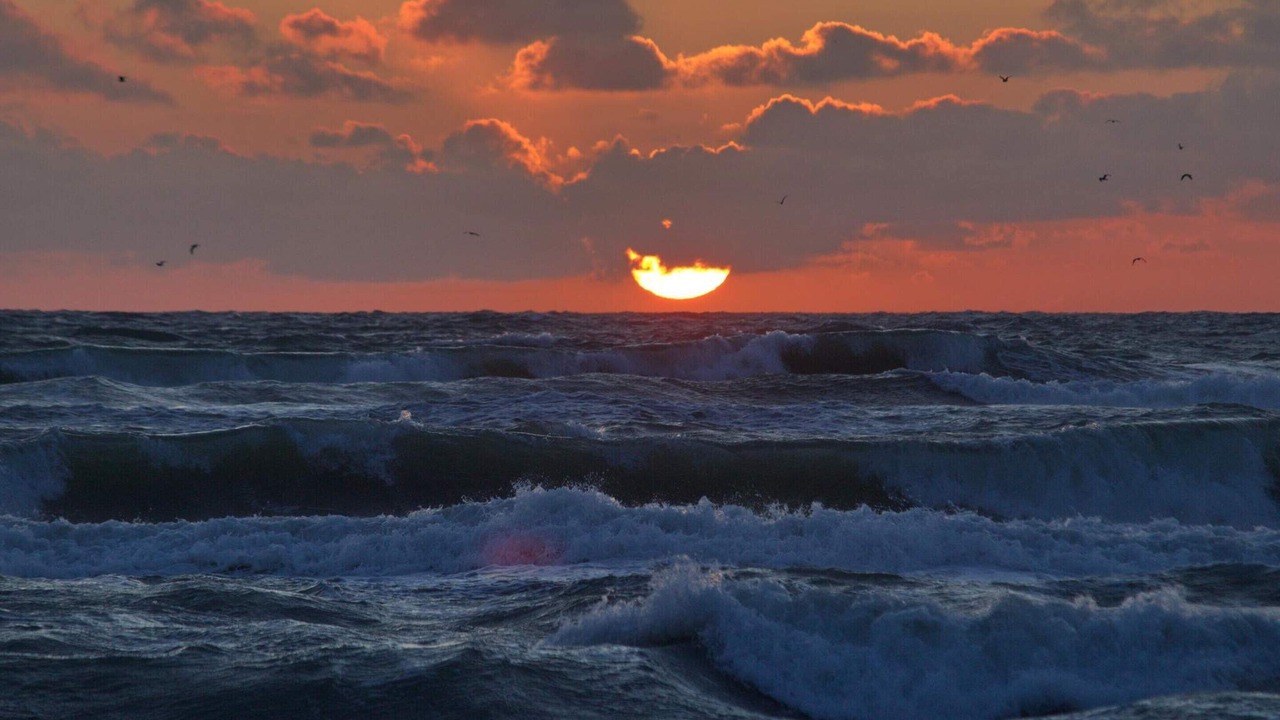 Photo of Others in Hirtshals