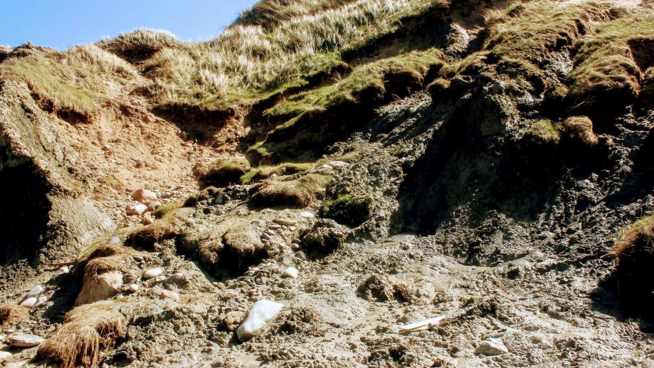 Photo of Others in Hirtshals