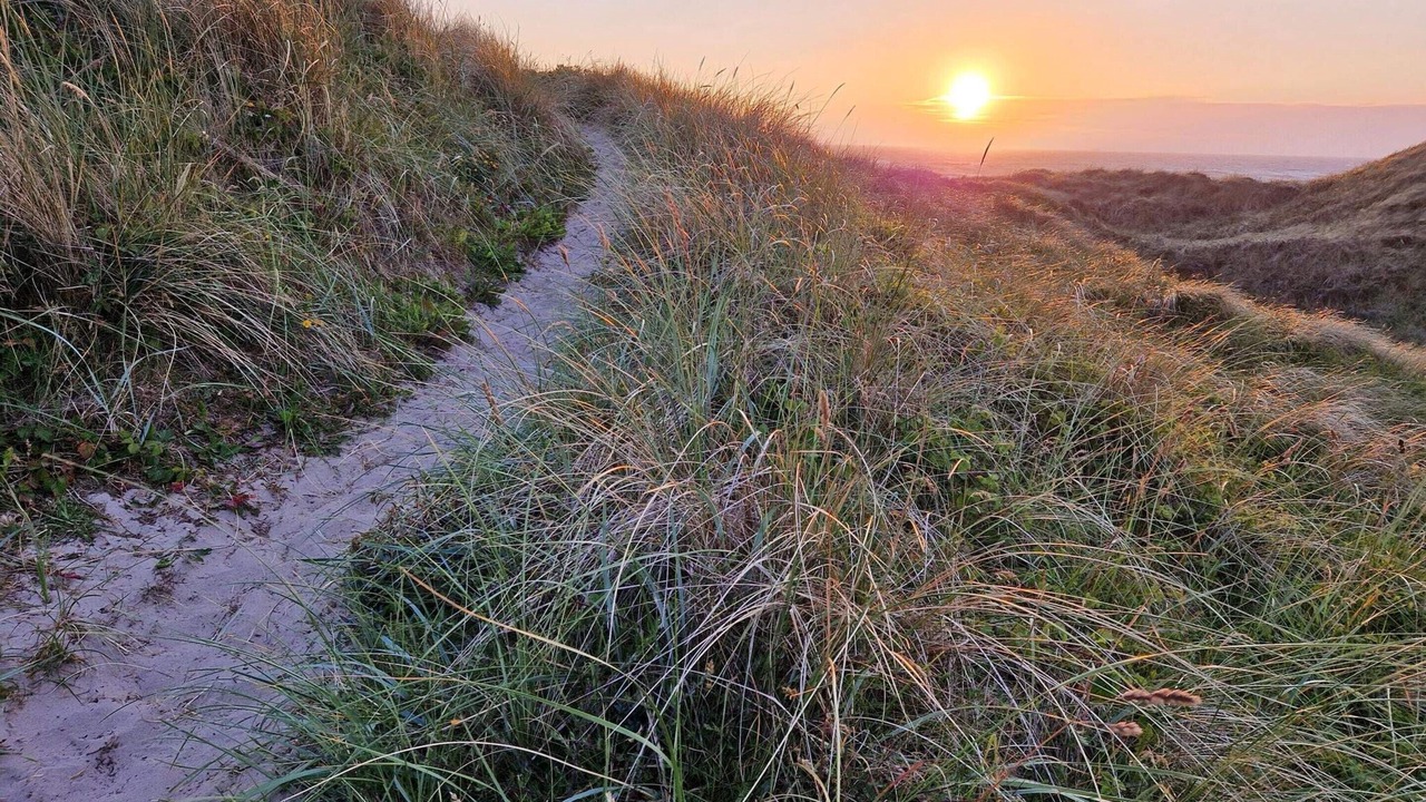 Photo of Others in Hirtshals