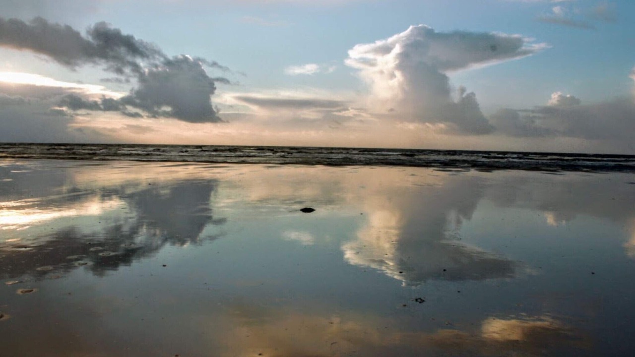 Photo of Others in Hirtshals