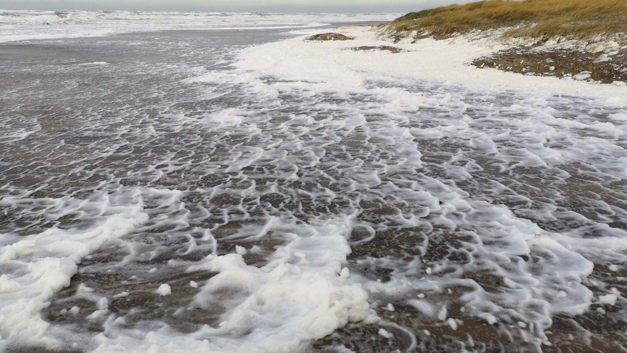 Photo of Others in Hirtshals