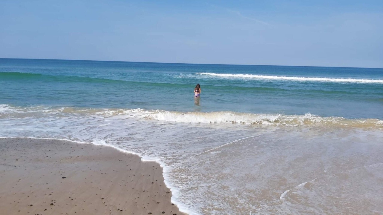 Photo of Others in Hirtshals