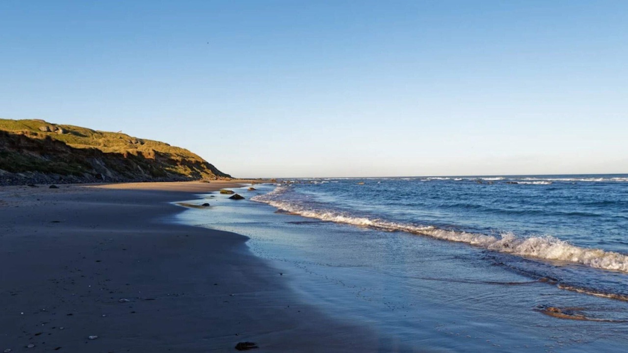 Photo of Others in Hirtshals