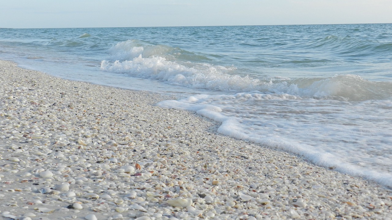 Photo of Others in Barrier Island