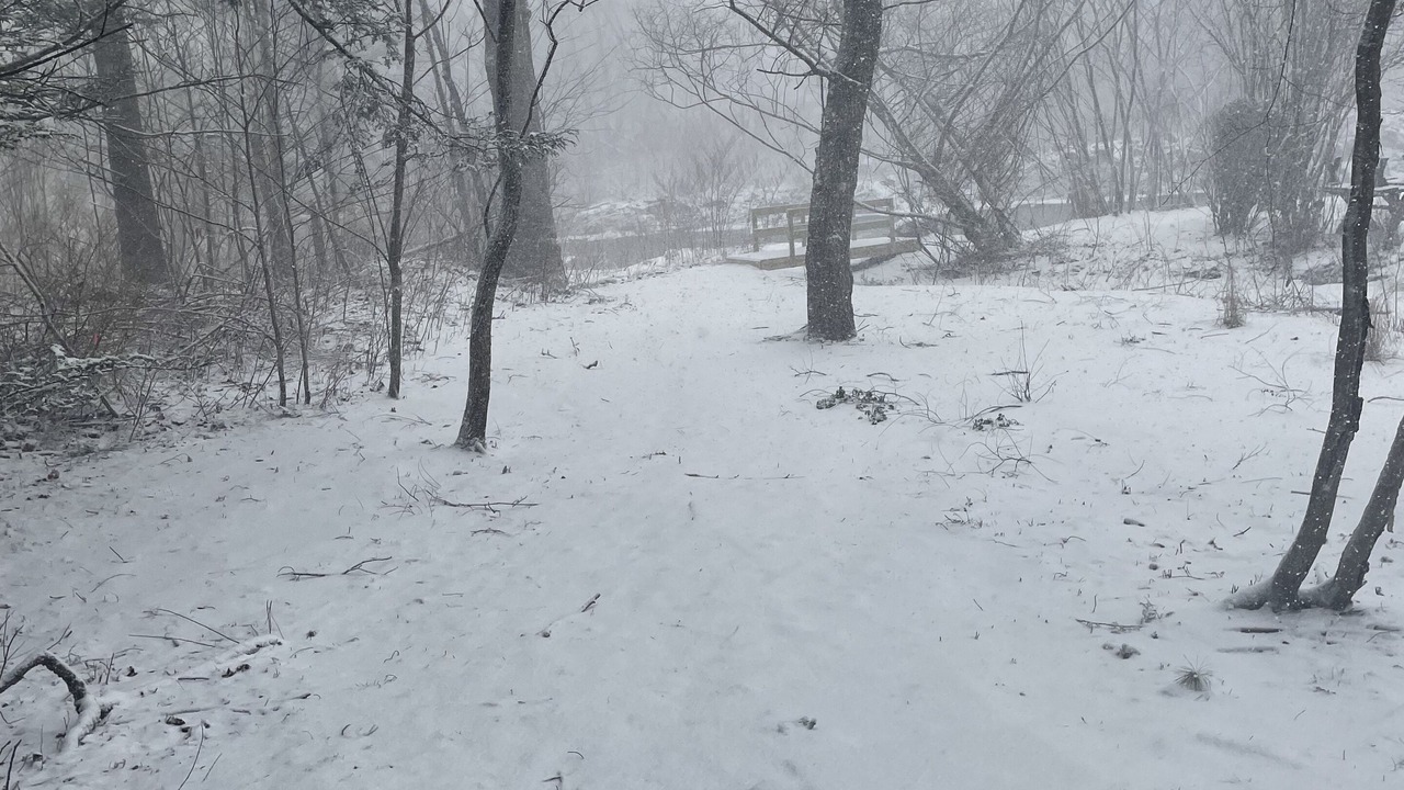 Photo of Others in Chichester