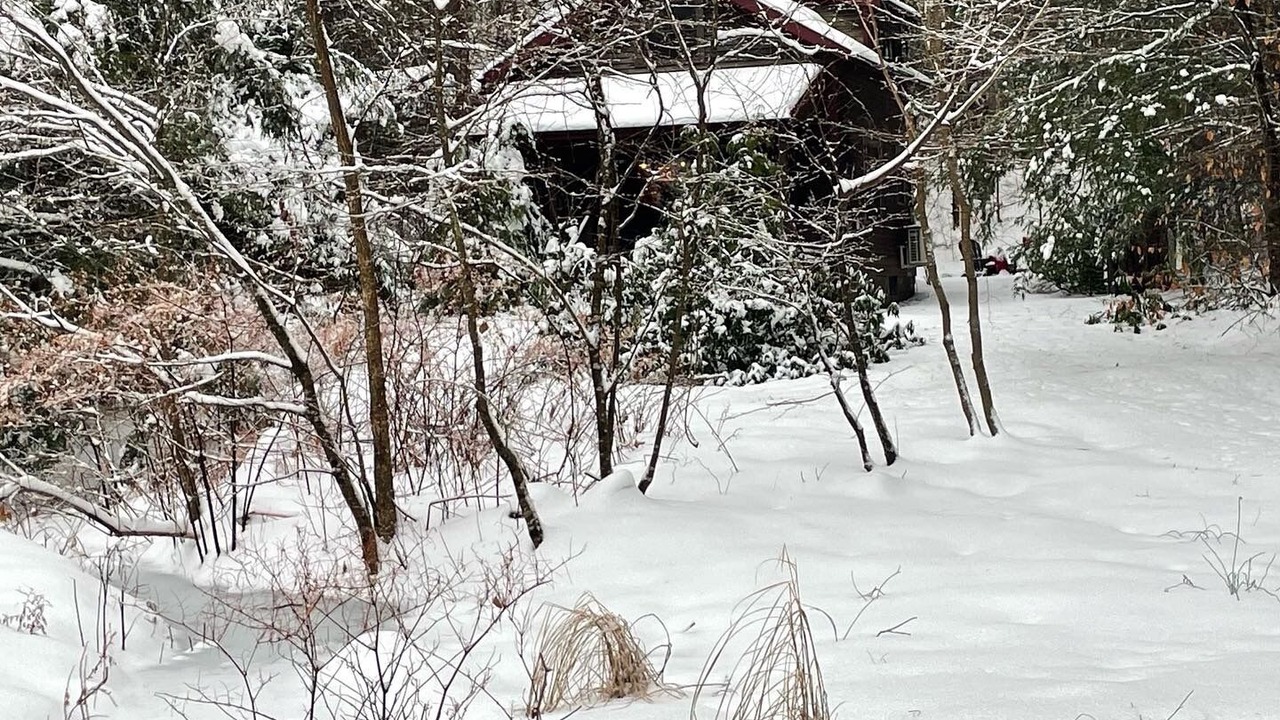 Photo of Others in Chichester