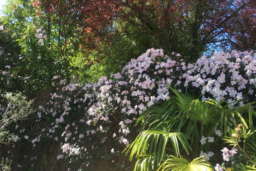 Photo of Outdoor in Plateau - Mont-Valerien