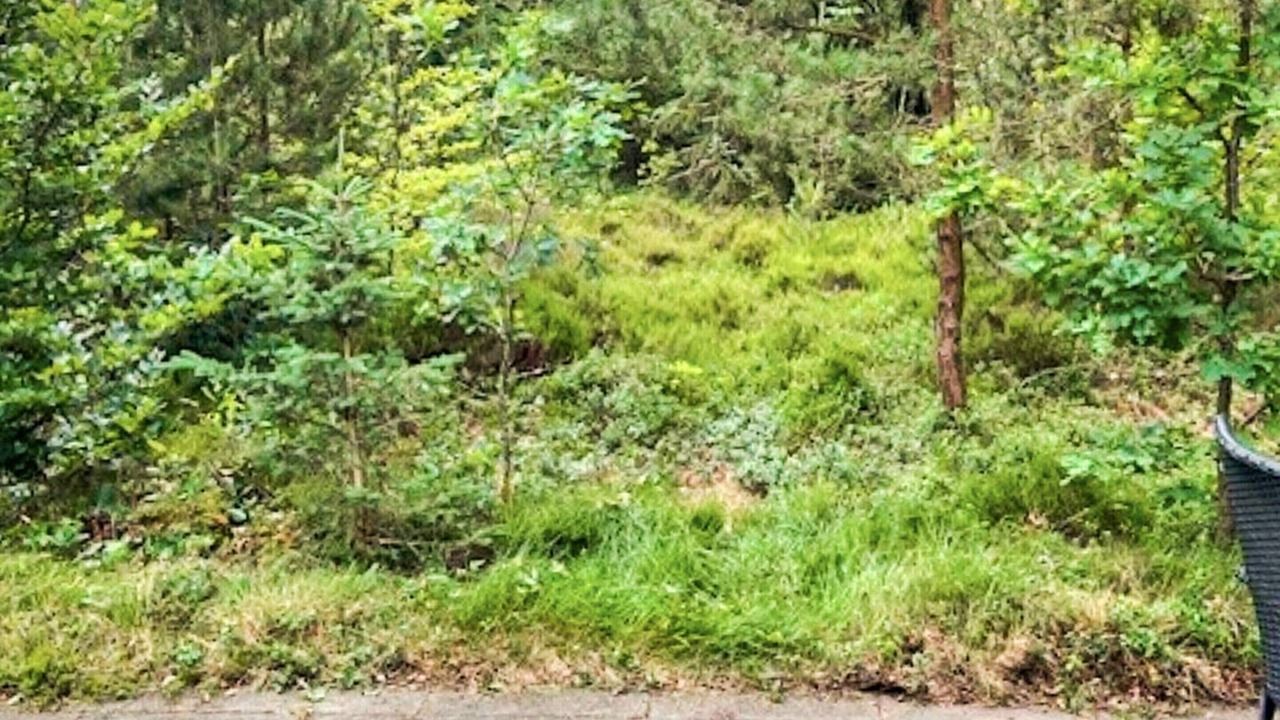 Photo of Others in Kolkaer
