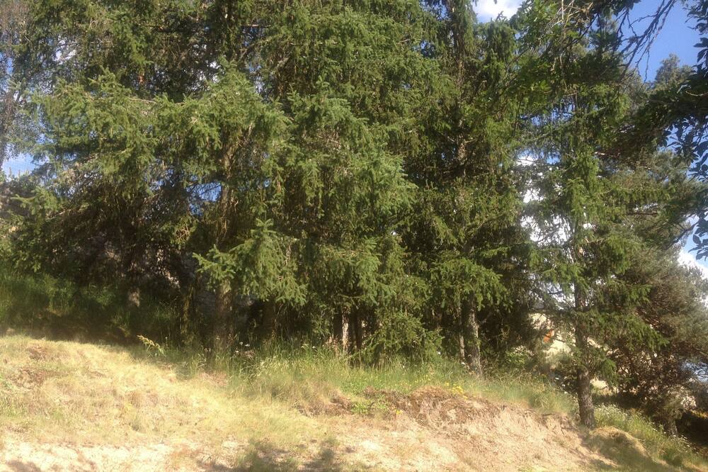 Photo of Outdoor in Serverette
