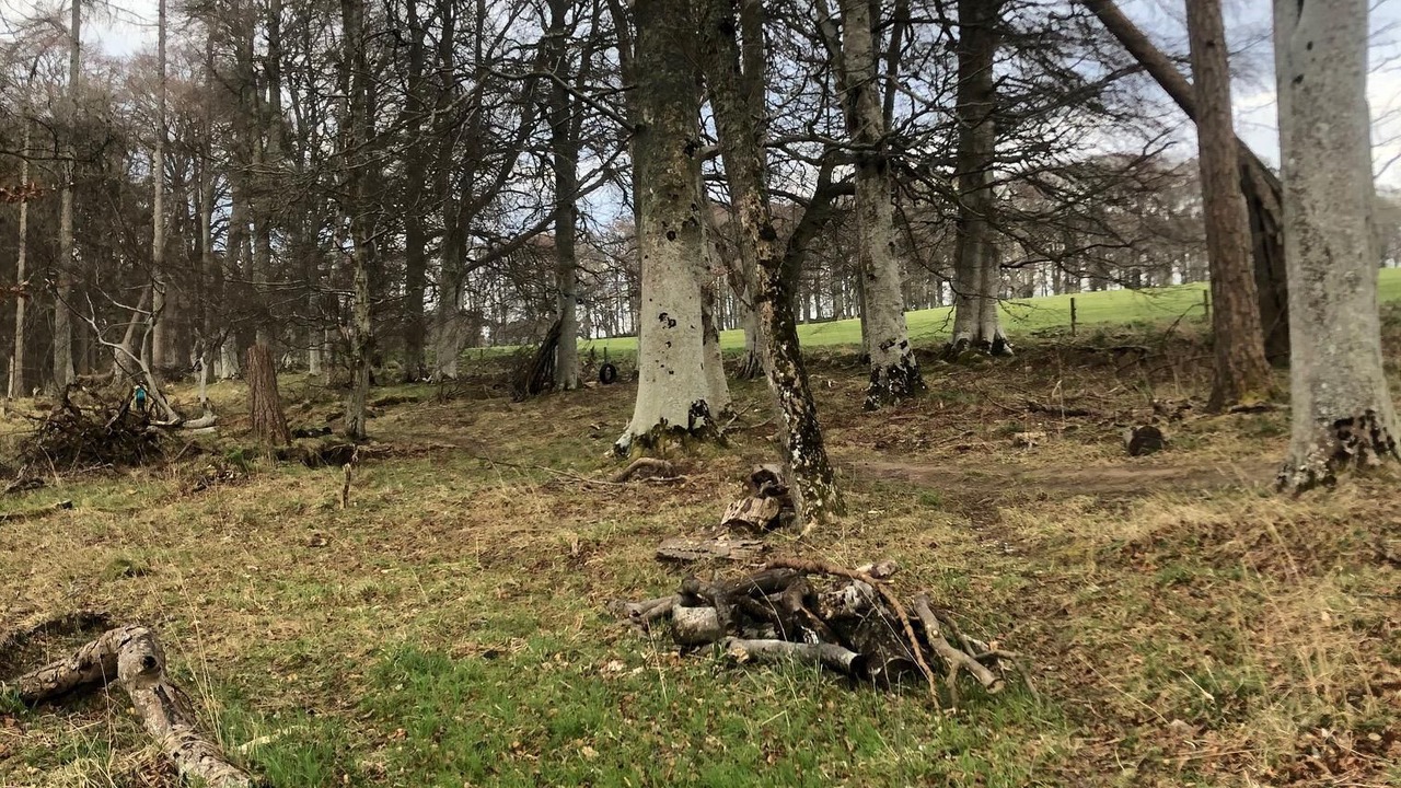 Photo of Bathroom in South Galson