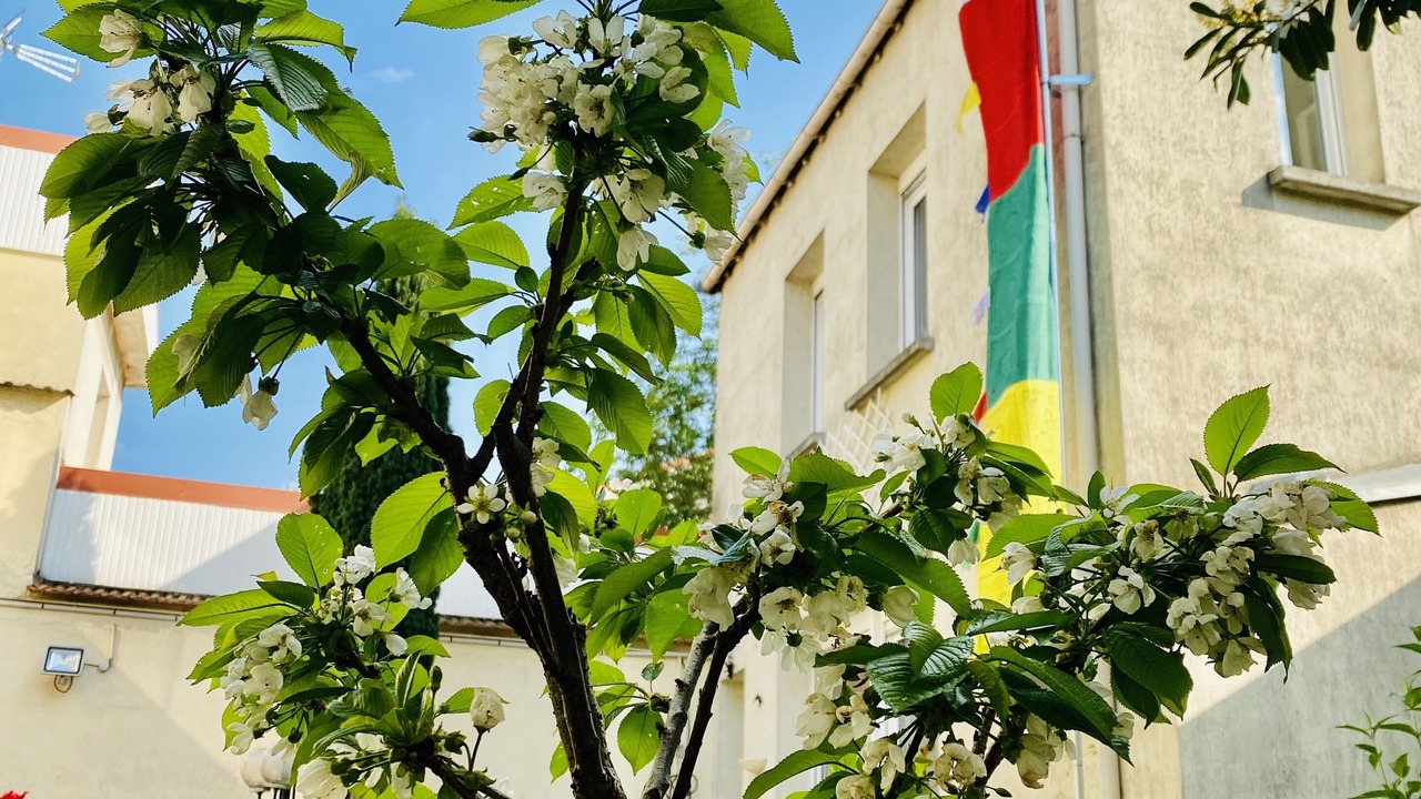 Photo of Patio Balcony in Mont d'Arene