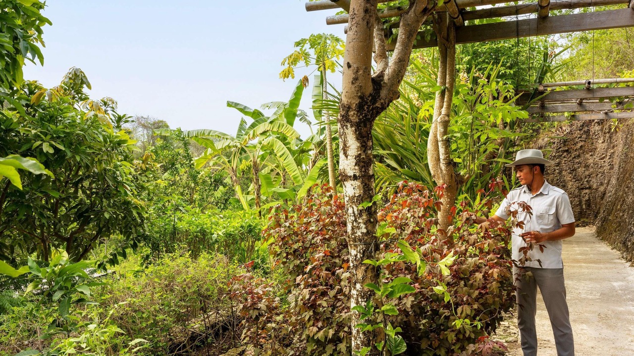Photo of Others in Jimbaran Bay