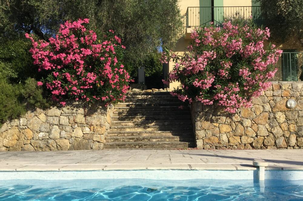 Photo of Outdoor in Le Rouret