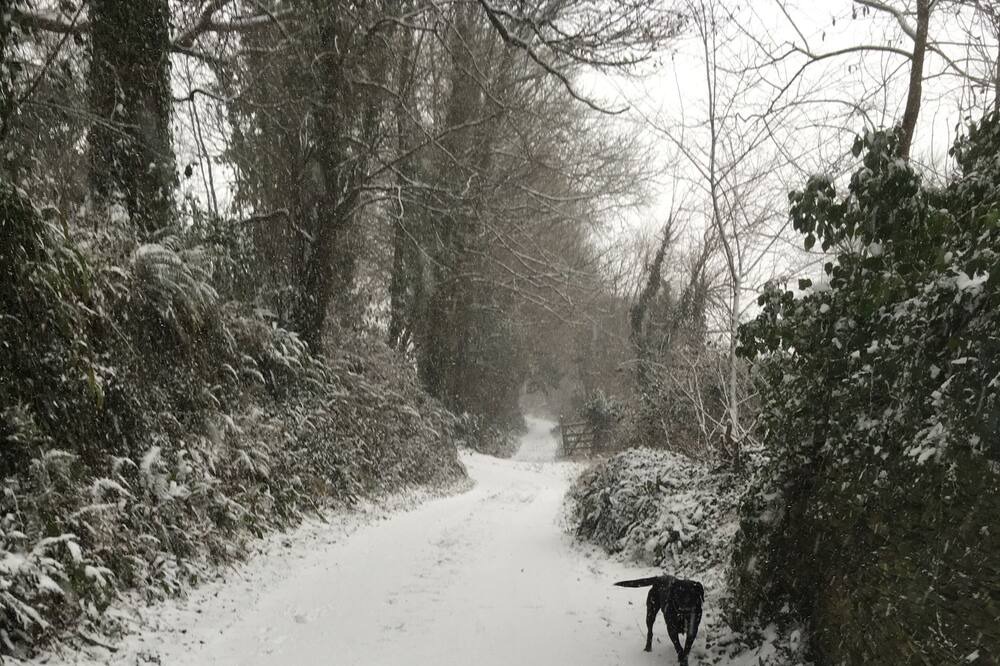 Photo of Others in Chillington