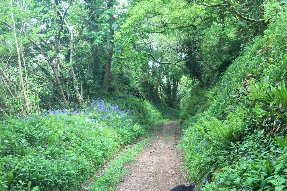 Photo of Outdoor in Chillington