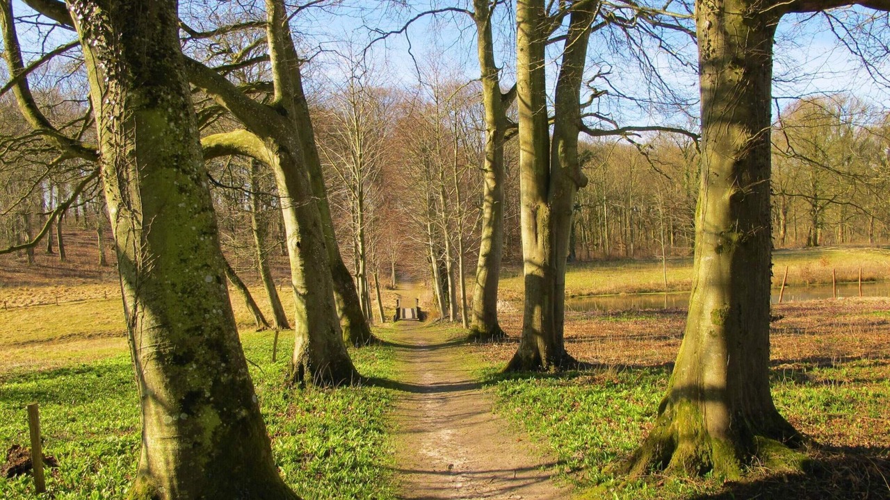 Photo of Others in Hojslev