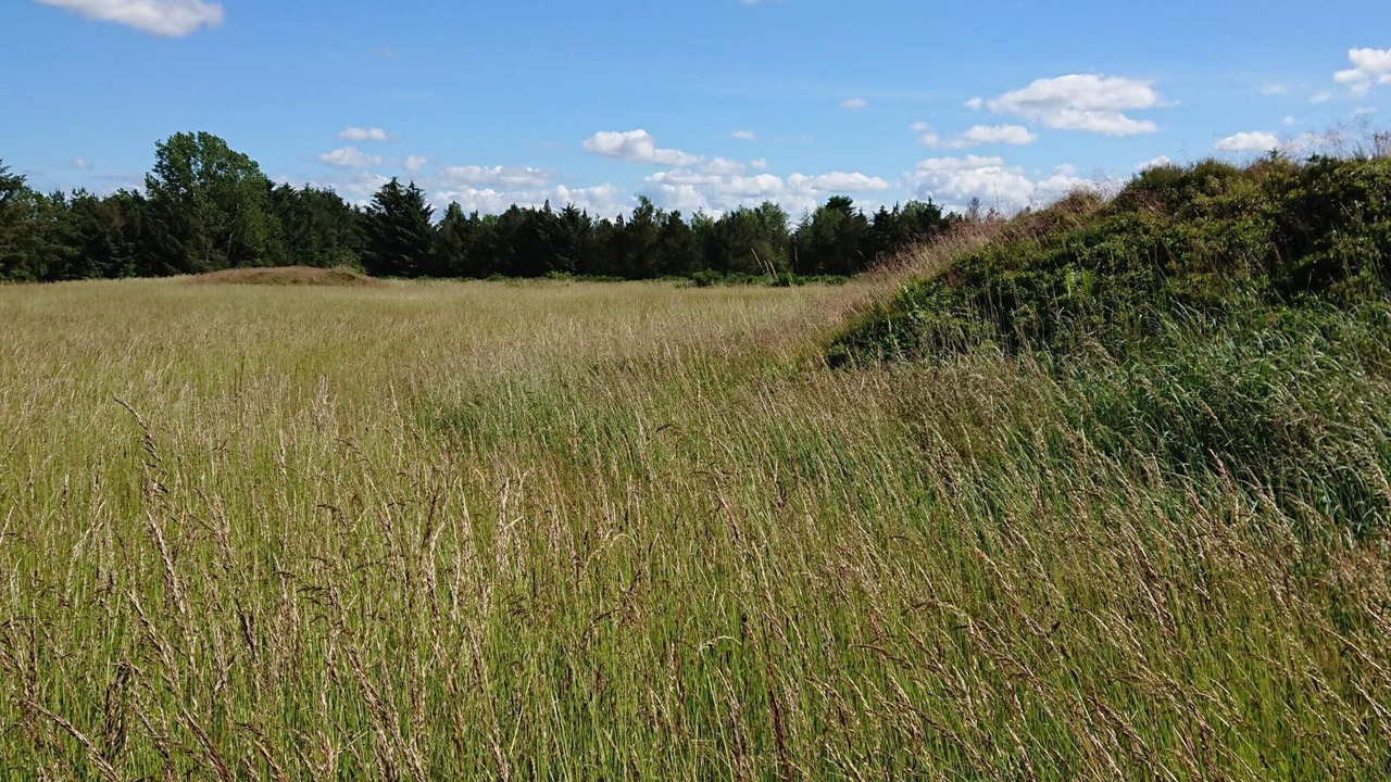 Photo of Others in Hojslev