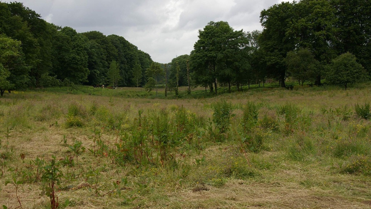 Photo of Others in Hojslev