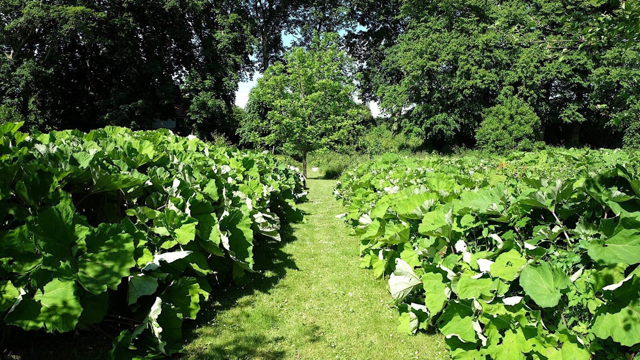 Photo of Others in Hojslev