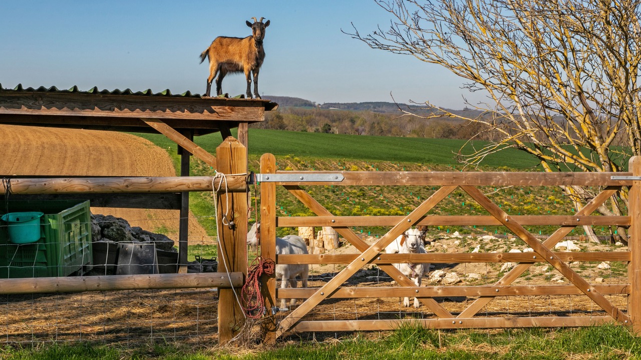 Photo of Outdoor in Castelmoron-sur-Lot
