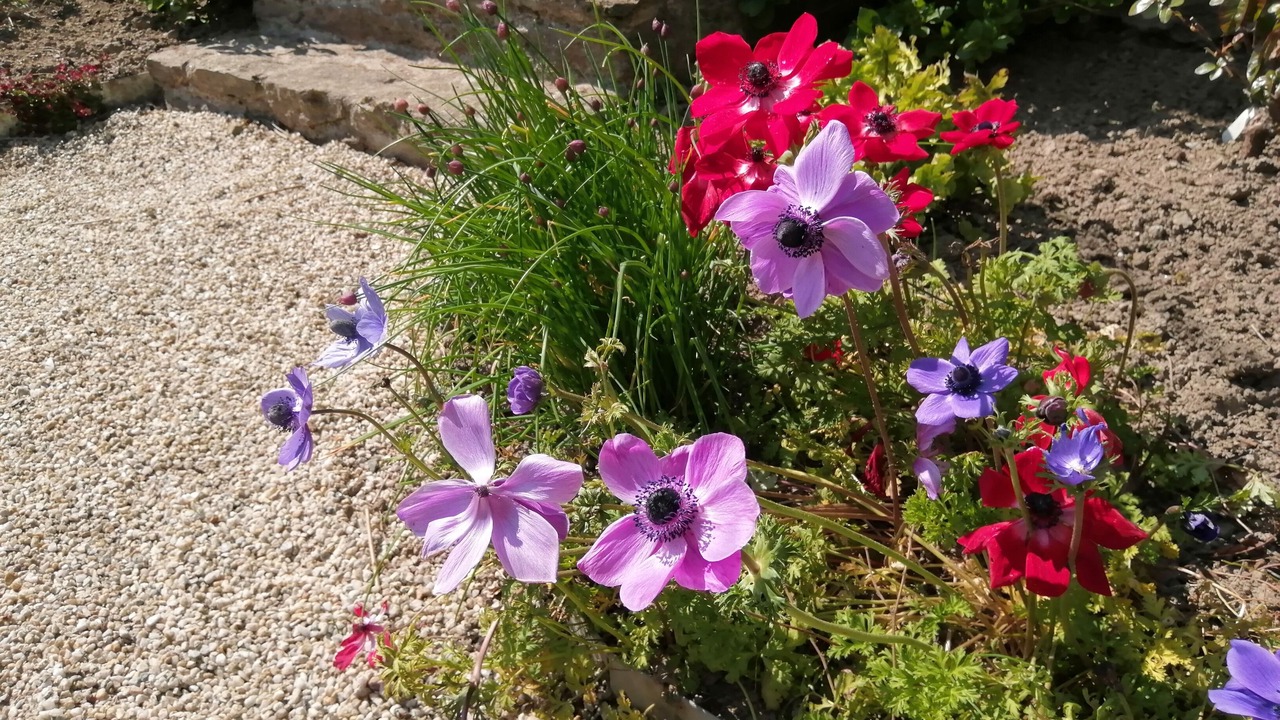 Photo of Outdoor in Lanvallay
