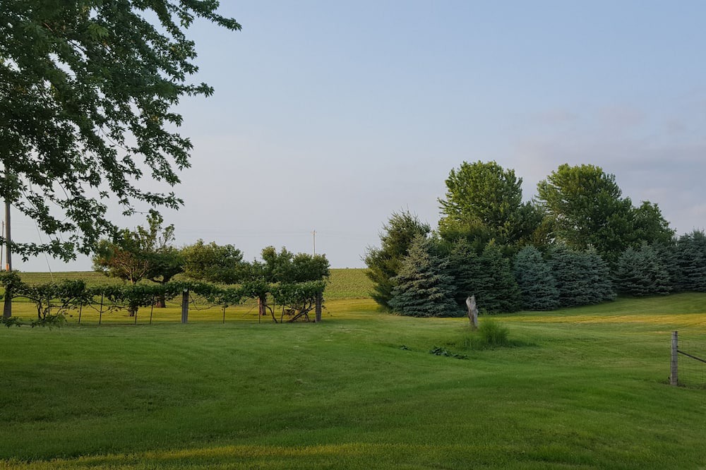 Photo of Others in Dickeyville