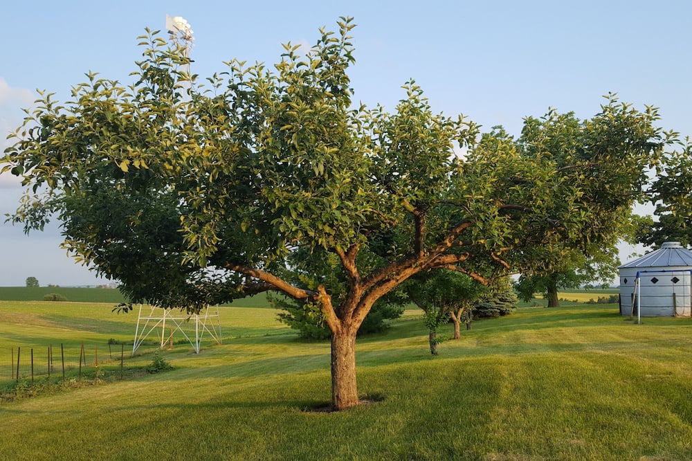 Photo of Others in Dickeyville