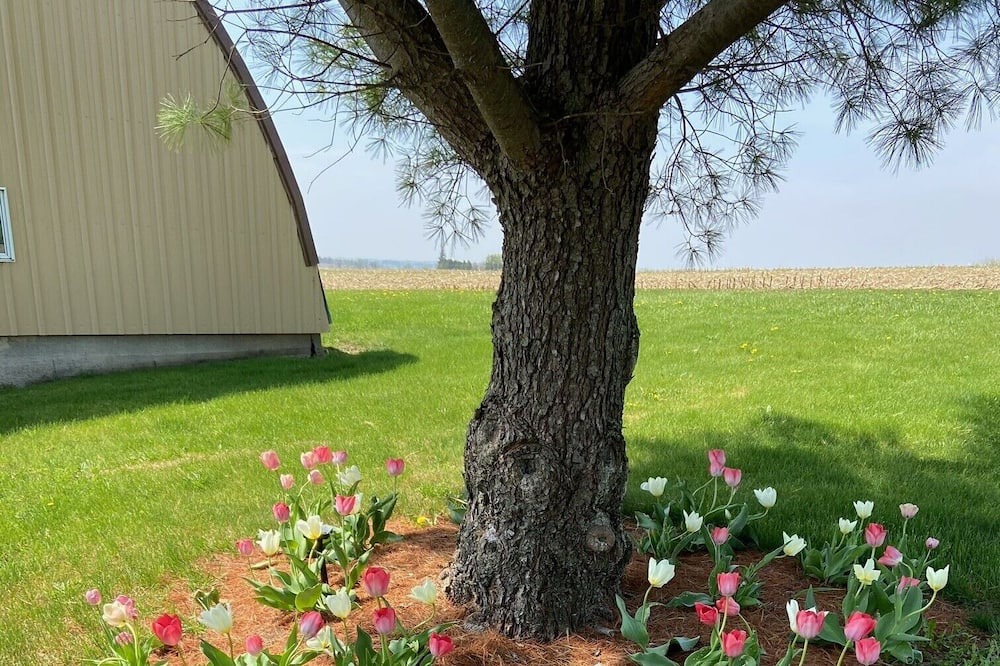 Photo of Others in Dickeyville