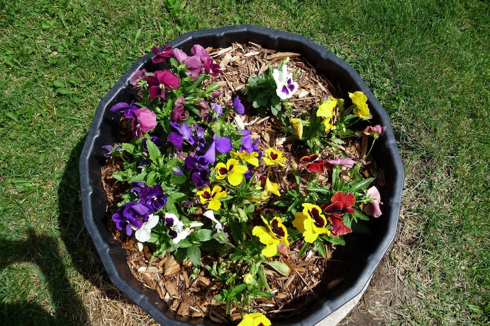 Photo of Others in Dickeyville