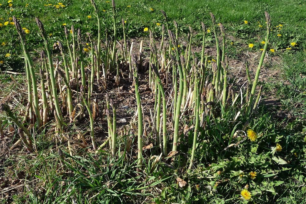 Photo of Others in Dickeyville