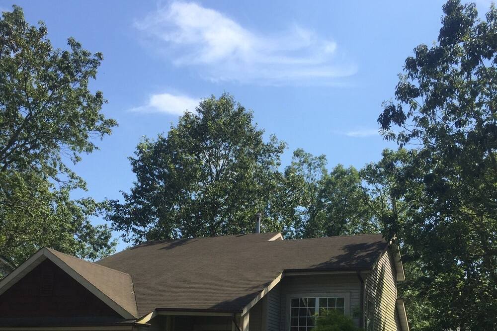 Photo of Outdoor in Smithville