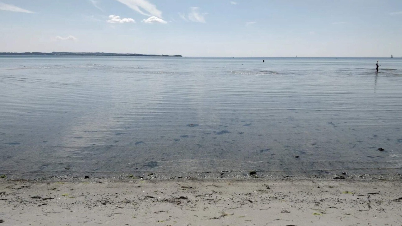 Photo of Others in Lystrup