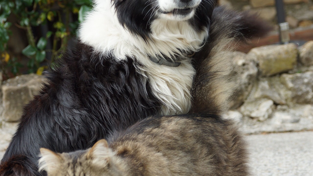 Photo of Others in Goudargues