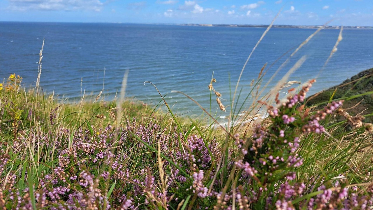 Photo of Others in Remmer Strand
