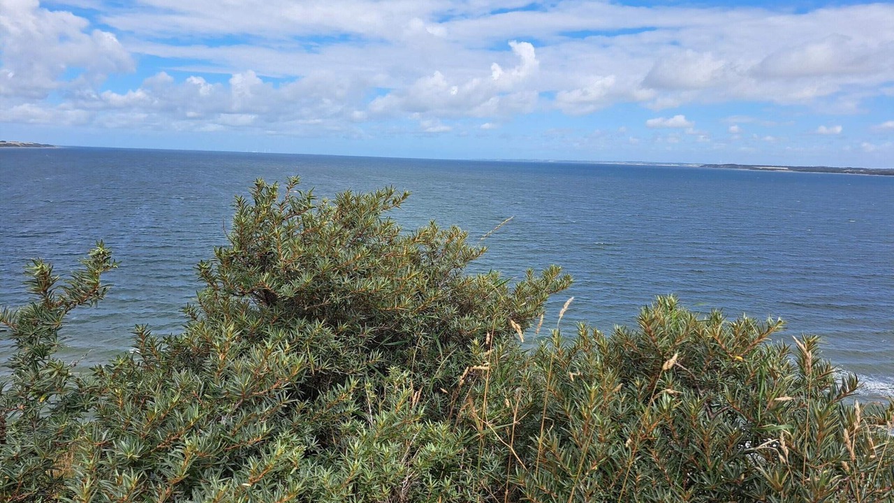 Photo of Others in Remmer Strand