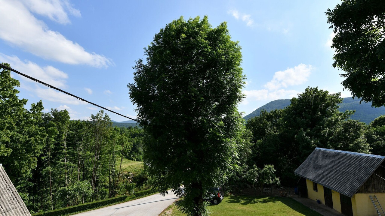 Photo of Outdoor in Seliste Dreznicko