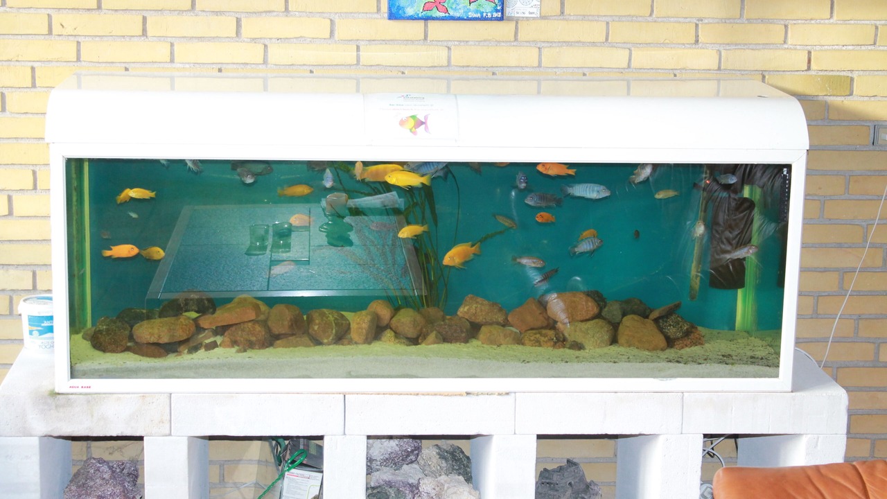 Photo of Others in Sakskobing