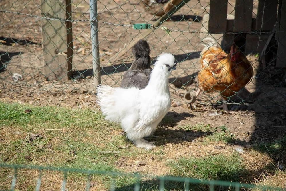 Photo of Outdoor in Saint-Ouen-sous-Bailly